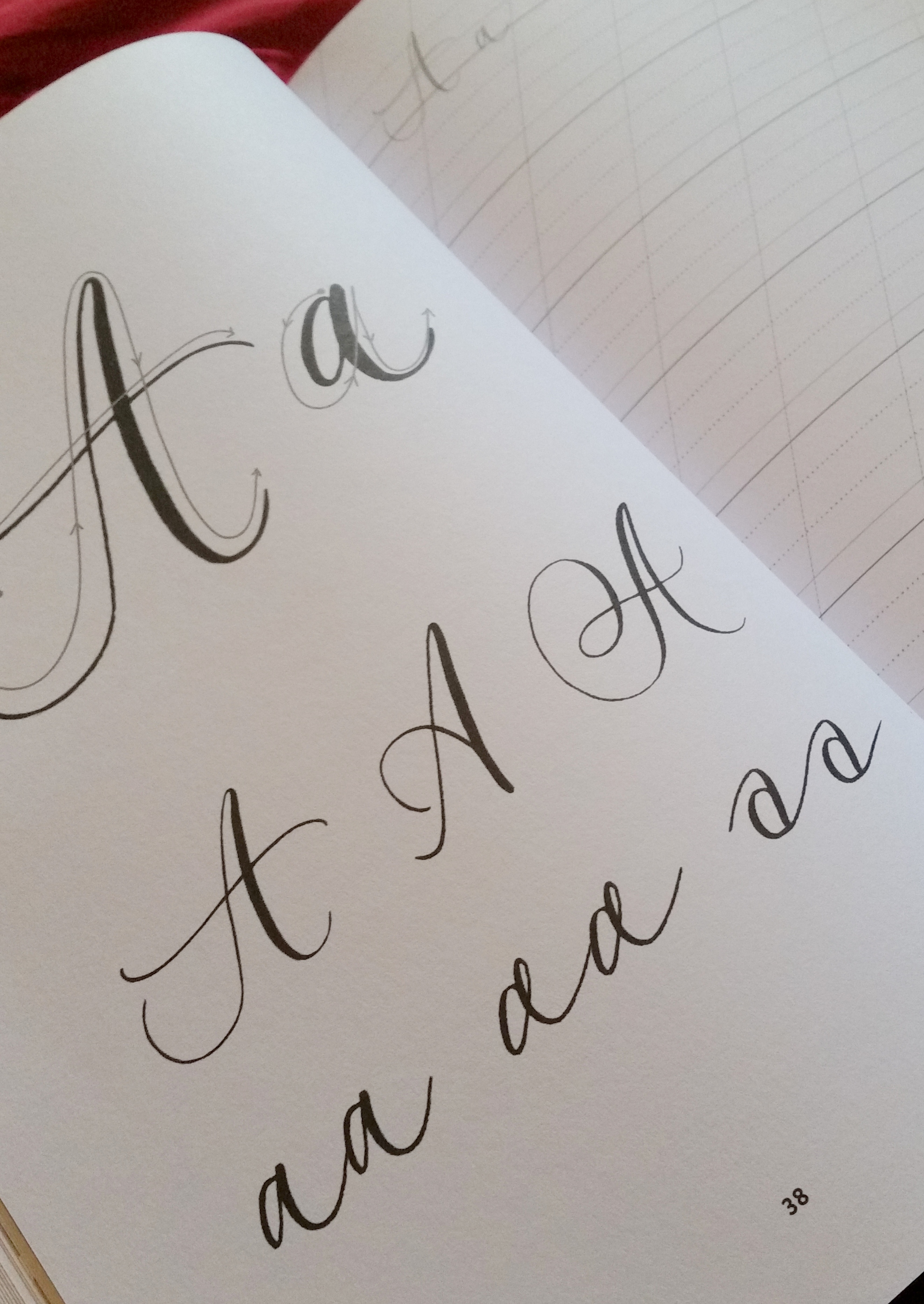 Calligraphy Book Review: Nib + Ink – Pens Paper Plans